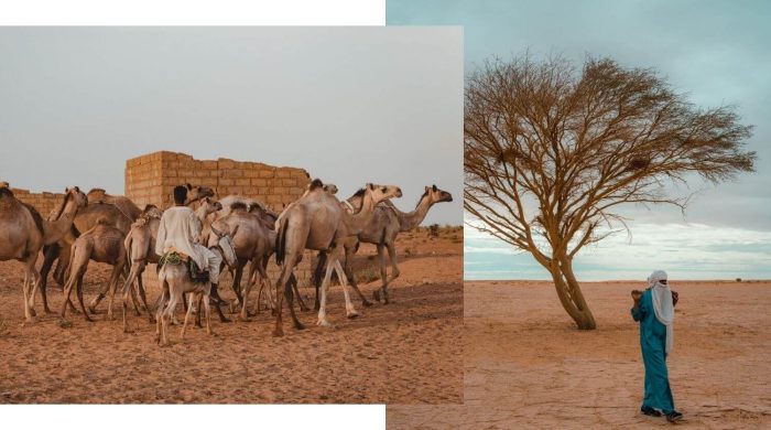 Mauritania: a journey into a rarely visited country, part 1