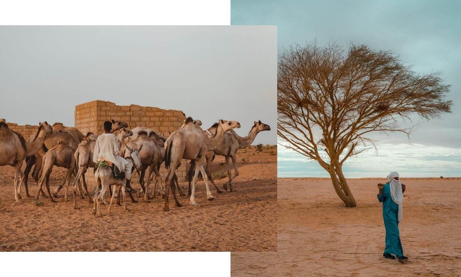 Mauritania: a journey into a rarely visited country, part 1