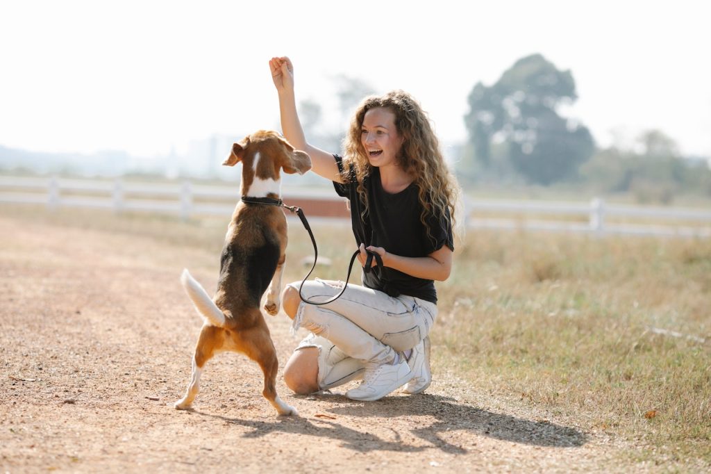 dog and person