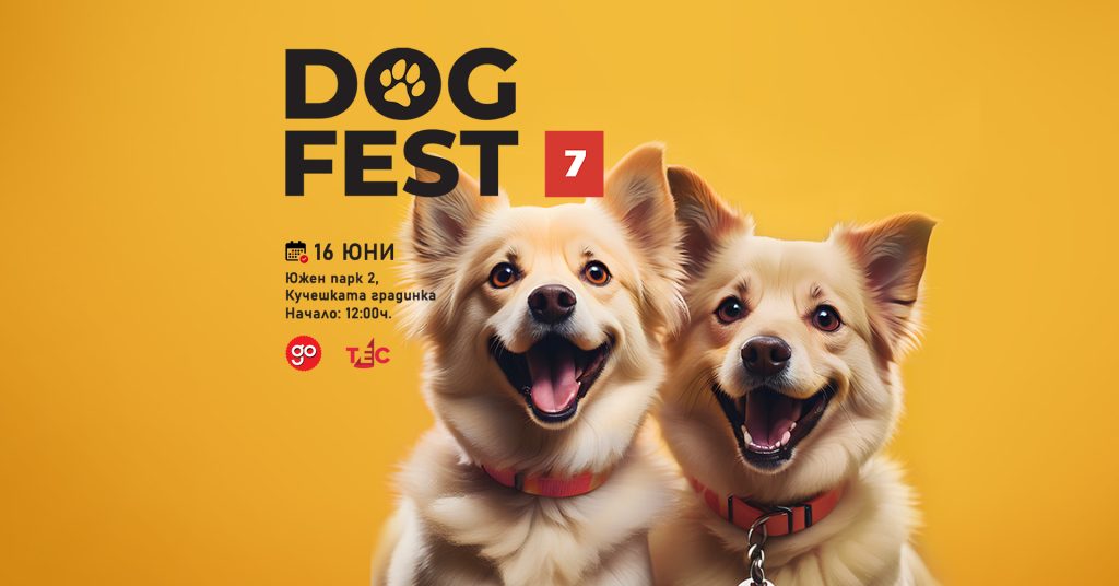Dog Fest 7