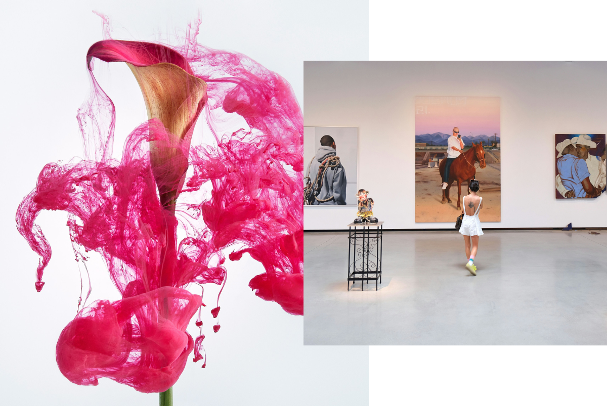12 от любимите ни изложби за 2024 г. – от Микеланджело до Наоми Кембъл