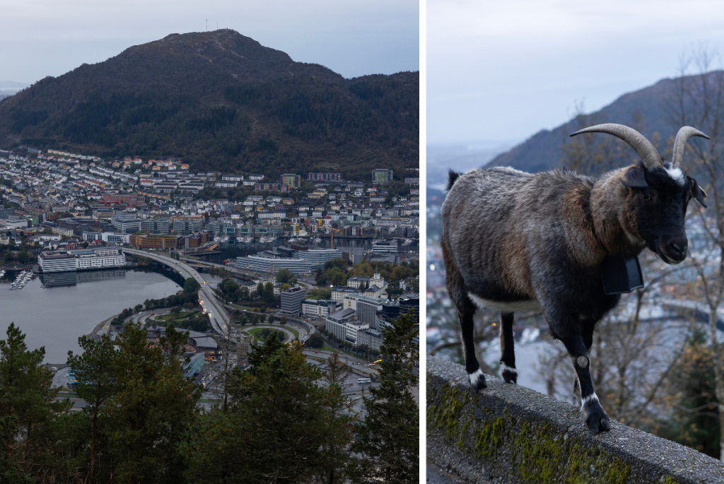 Южна Норвегия, която ще те остави без дъх