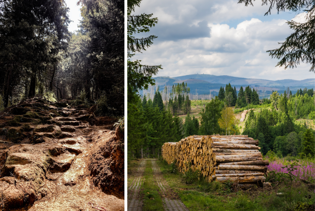 Пет планински маршрута в Европа, които да покориш тази година
