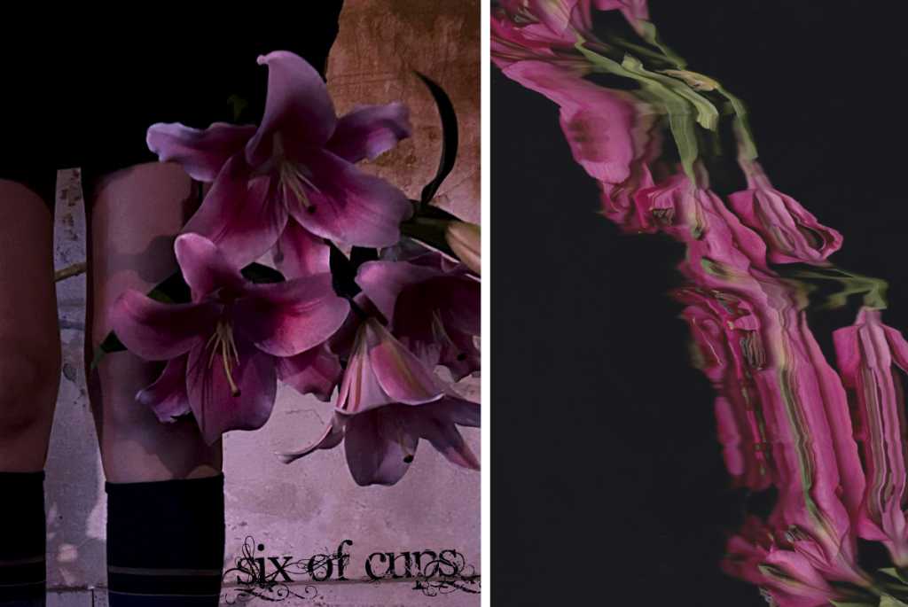 Samodiva Society представя „Six of Cups” – нов сингъл от Bare knees и Slicr