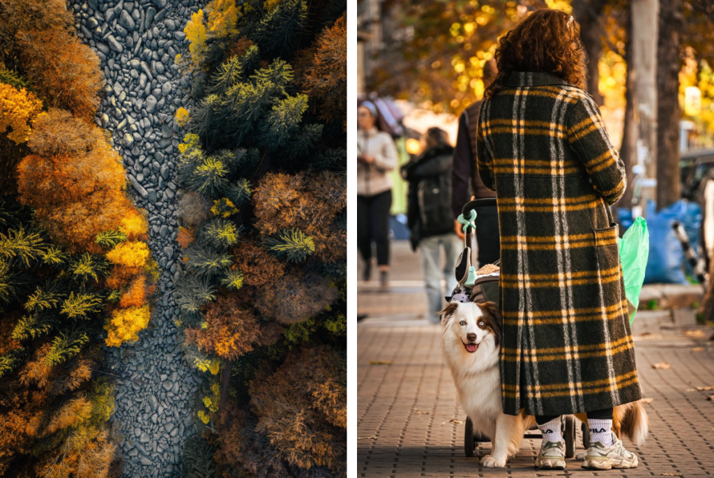 София на 31 декември – тиха, странна и някак по-хубава