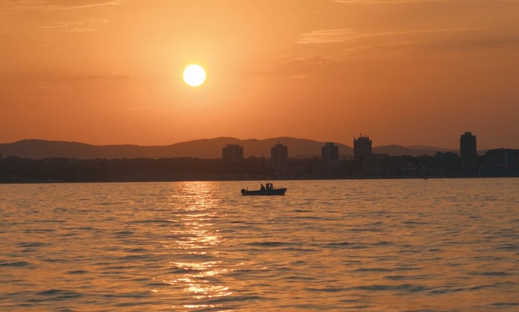 Go Short: къси филми с голям смисъл – твоят кино момент през януари
